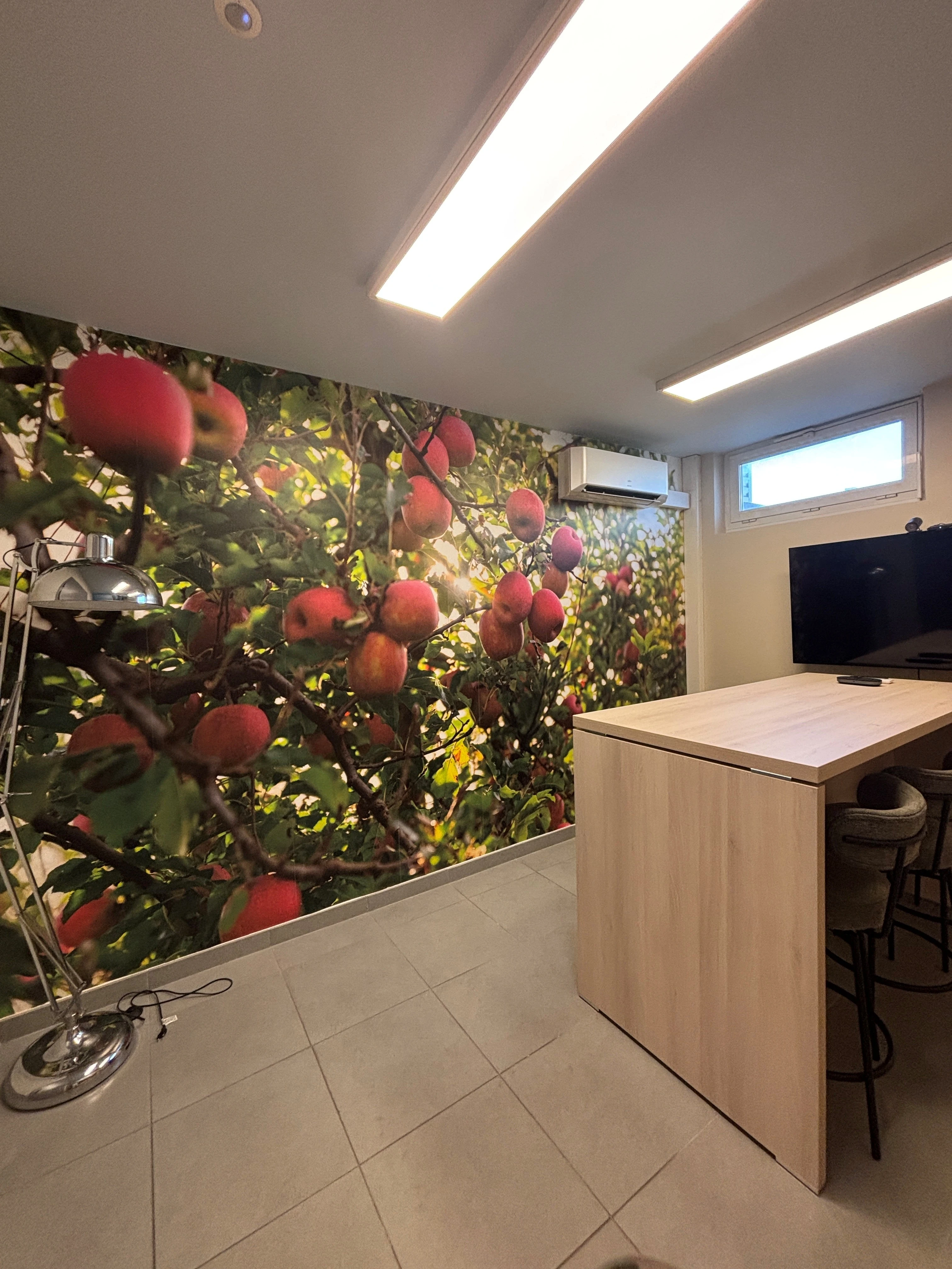 Décor mural sur-mesure pour l'Agence Lundi 9h – Papier peint personnalisé